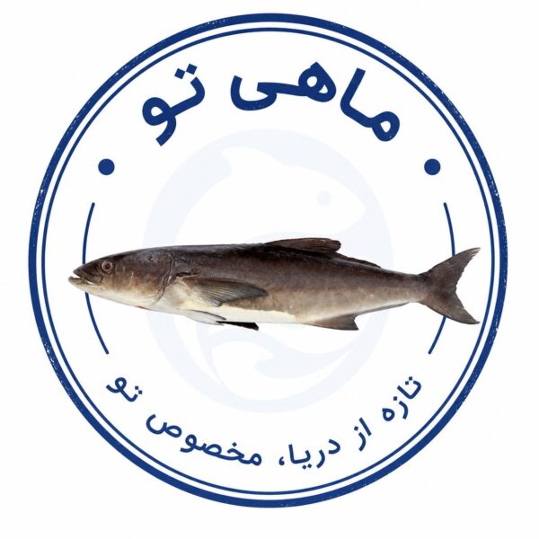 سکن درشت