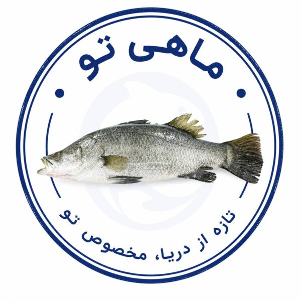 سی باس متوسط