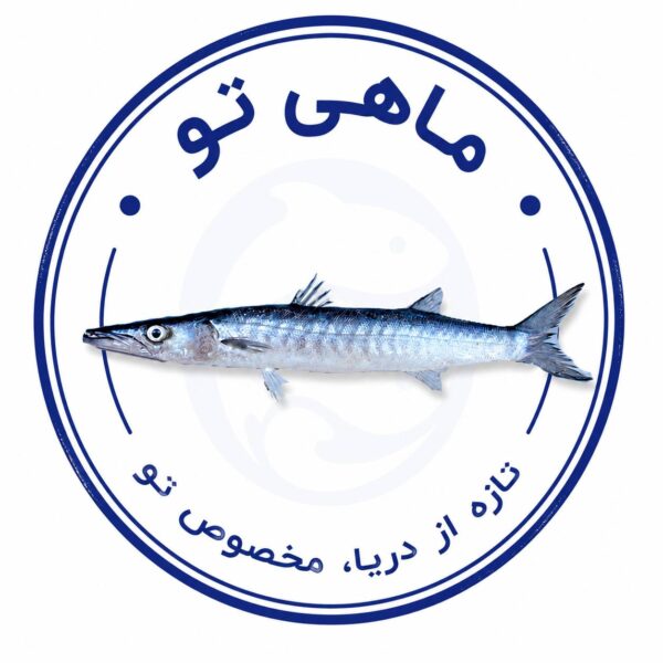 چنگو دم سیاه (معمولی)